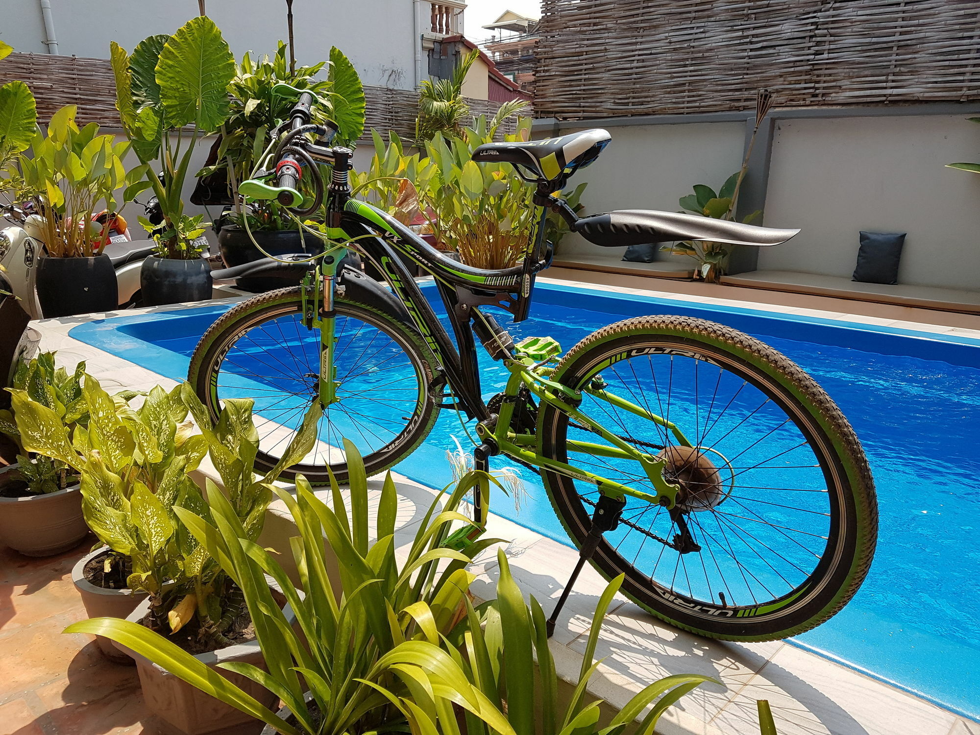 Lemongrass & Ginger Hotel Siem Reap Zewnętrze zdjęcie