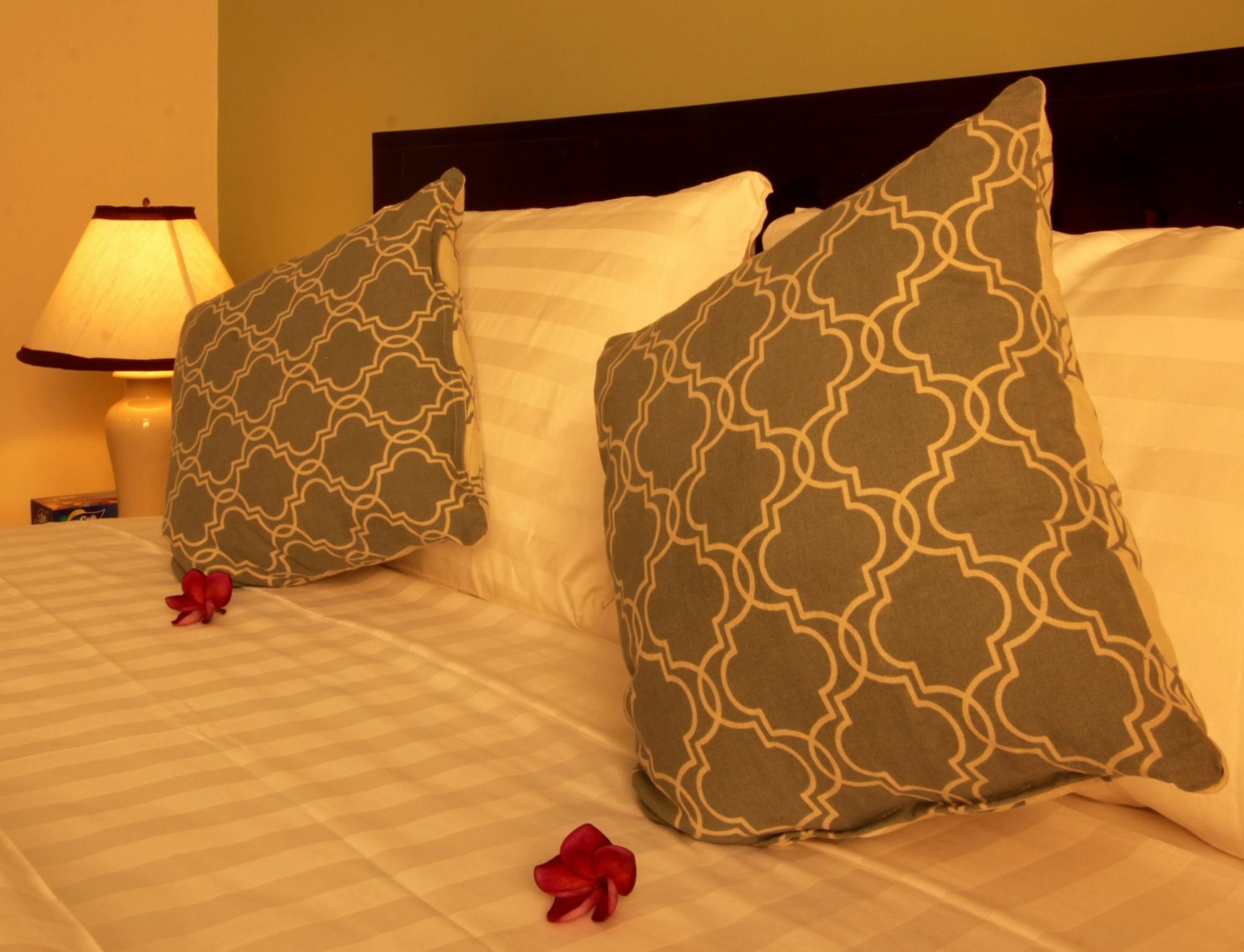 Lemongrass & Ginger Hotel Siem Reap Zewnętrze zdjęcie